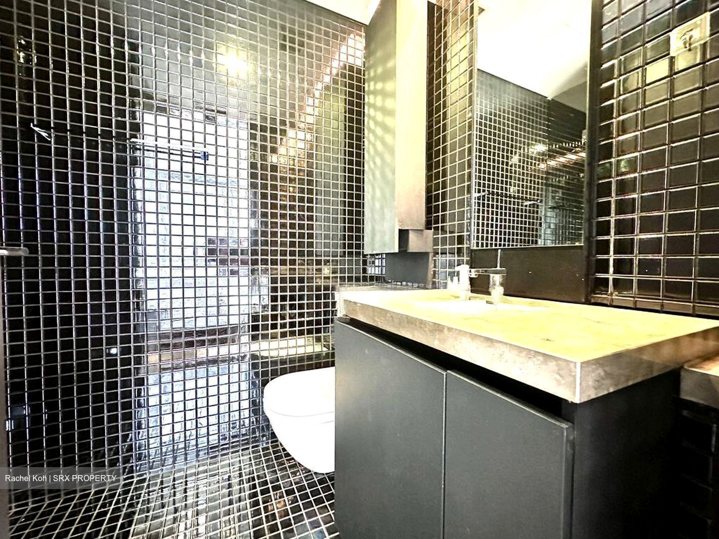 Skysuites@Anson (D2), Apartment #507743121